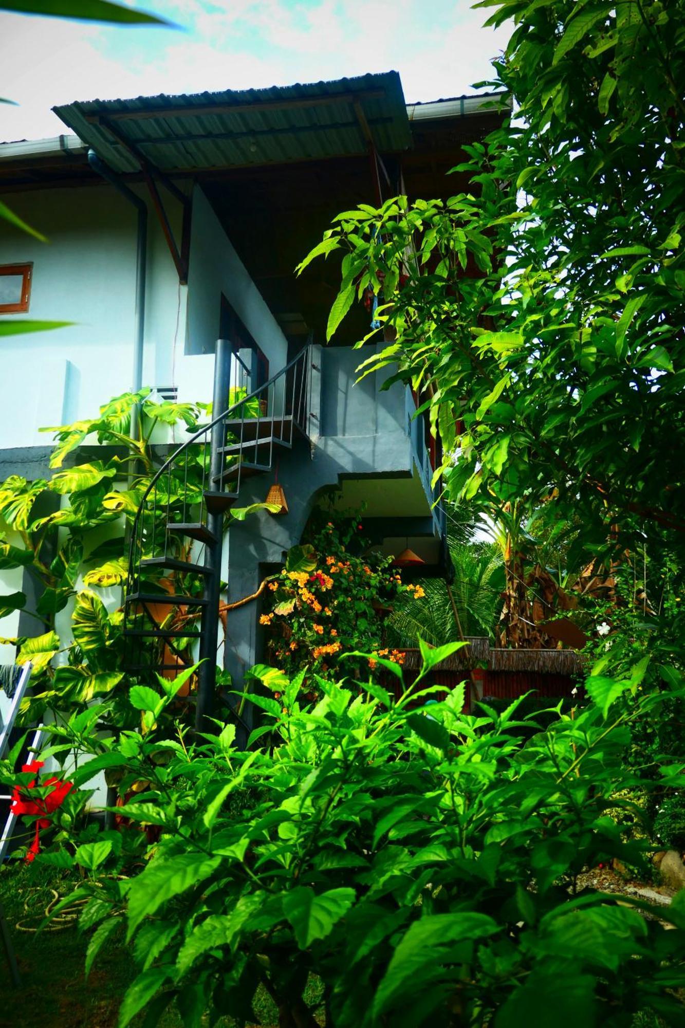 Sumatra Orangutan Discovery Villa Bukit Lawang Chambre photo
